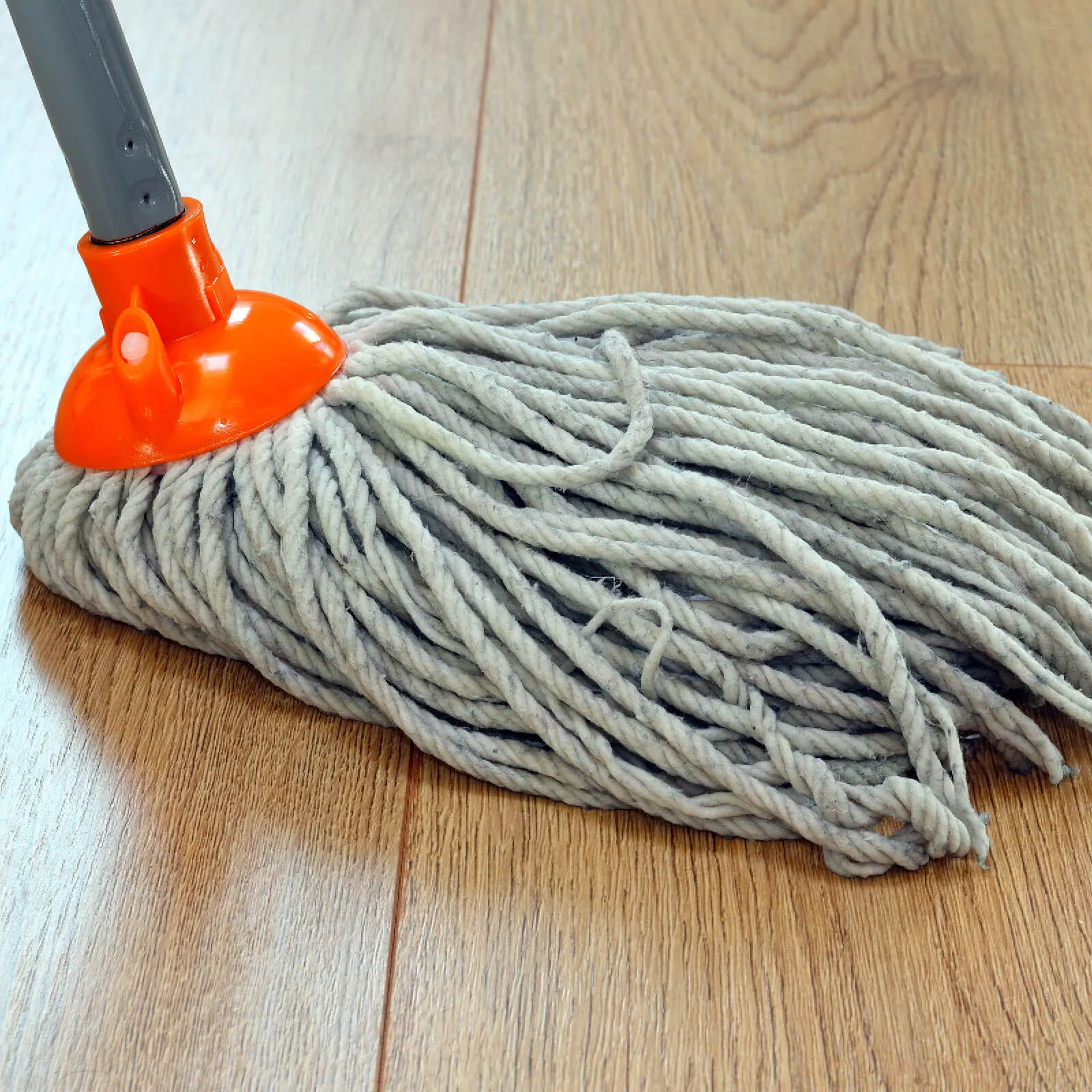 Hardwood cleaning | Fantastic Floors